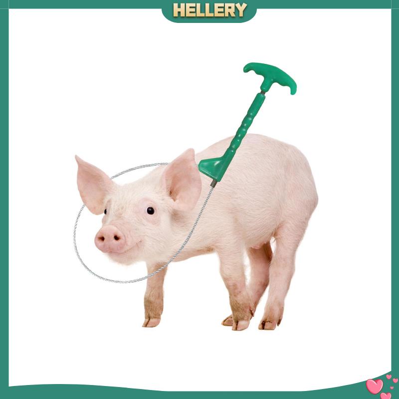 Giá Đỡ Điều Khiển Bắt Heo / Thú Cưng Chịu Được Sức Nặng