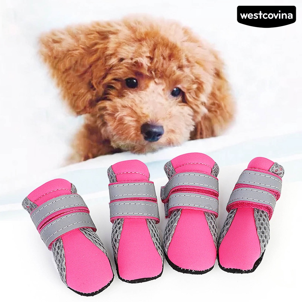 [COD]♞Set 4 Chiếc Giày Sneaker Lưới Chống Trượt Thoáng Khí Cho Thú Cưng