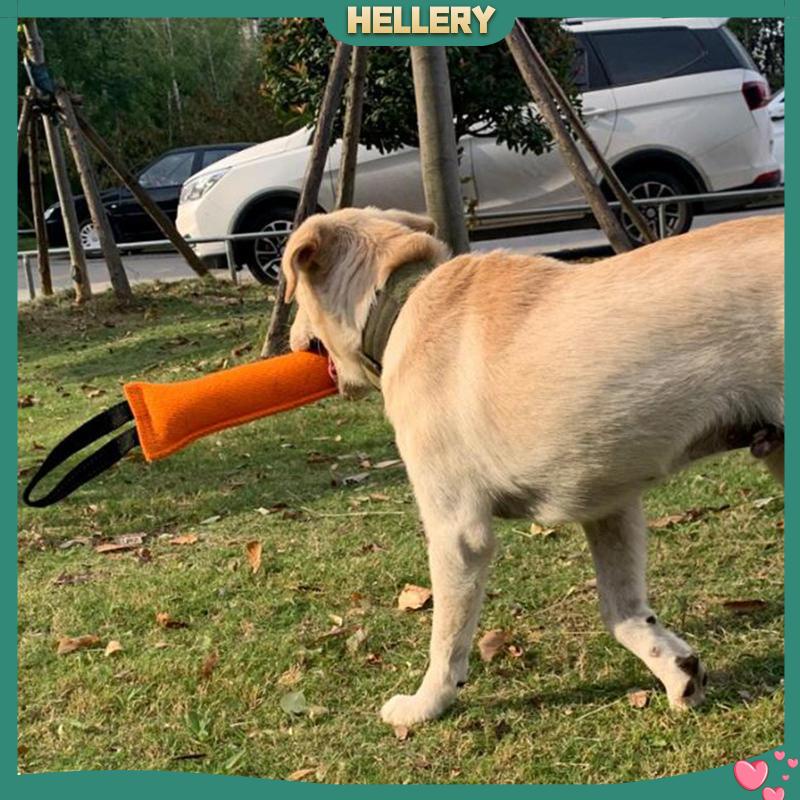 Đồ Chơi Nhai Gặm Hai Tay Cầm Mềm Mại Dành Cho Cún Cưng