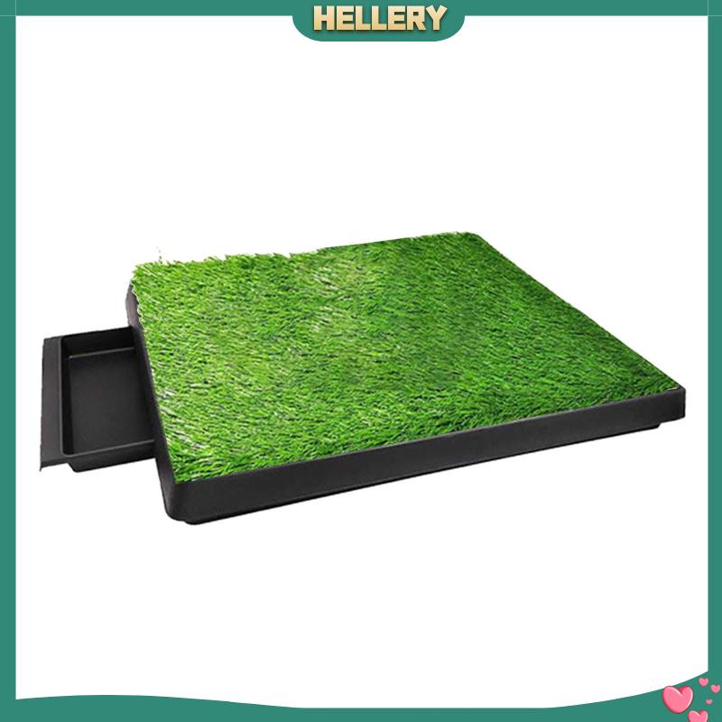 Đệm Cỏ Đi Vệ Sinh Cho Thú Cưng