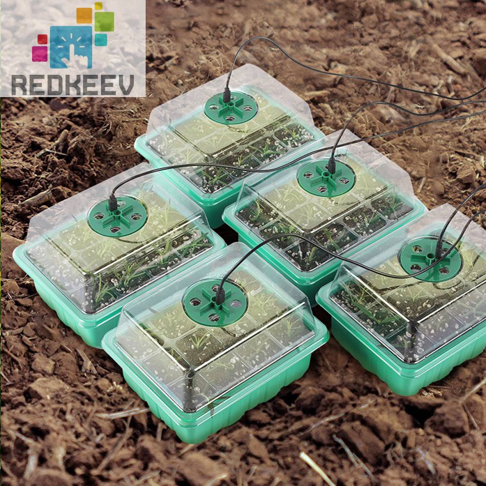 Hộp Gieo Hạt Tiện Lợi Cho Nhà Kính