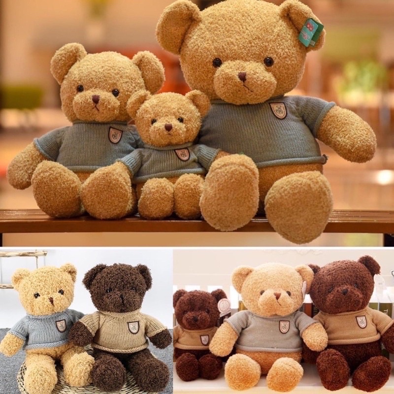 Gấu bông Teddy mặc áo len  các cỡ  Quà tặng Sinh nhật , 8/3, 20/10 Valentine, Noel