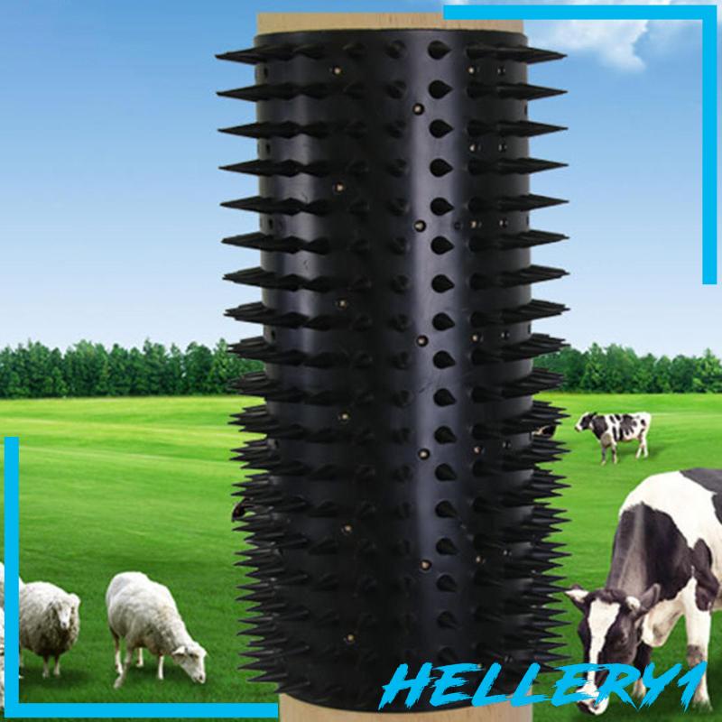 Bàn Chải Massage Đa Năng 16.54 ''