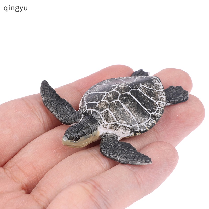 Mô Hình Rùa Biển Trang Trí Xinh Xắn