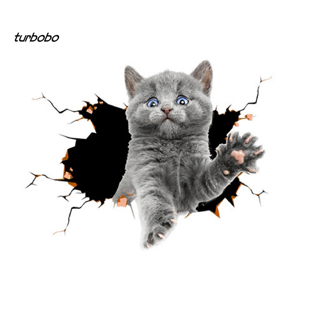 Đề Can Dán Trang Trí Xe Hơi Tạo Hiệu Ứng 3D Chống Thấm Nước Vui Nhộn