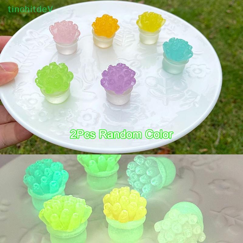 Set 2 Cây Mọng Nước Mini Màu Dạ Quang Dùng Trang Trí Tiểu Cảnh