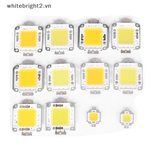 1 chip Đèn led cob 10W 20W 30W 50W 70W 100W 2 Màu