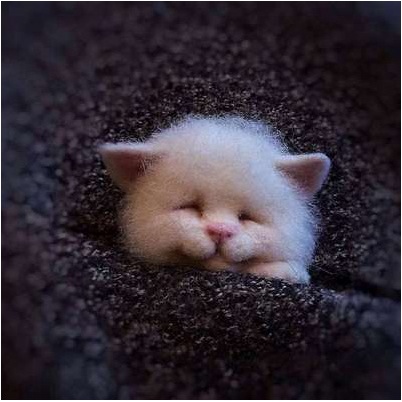 Ghim Cài Áo Hình Mèo / Cáo / Cáo Bằng Len Làm Thủ Công DIY Sáng Tạo