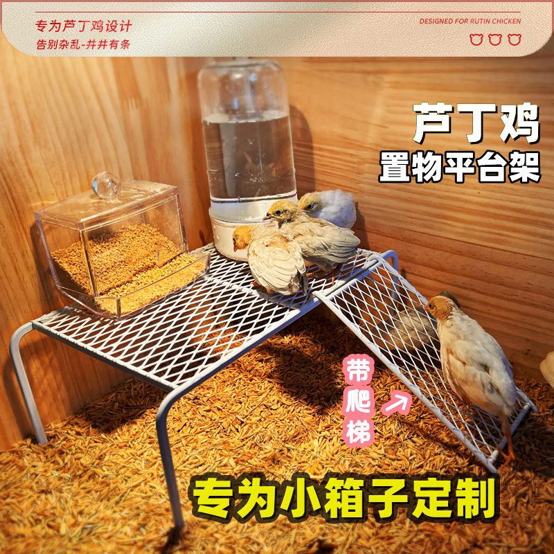 Hộp Đựng Thức Ăn Tự Động Chia Ngăn Cho Gà / Chuột Hamster Leo Trèo