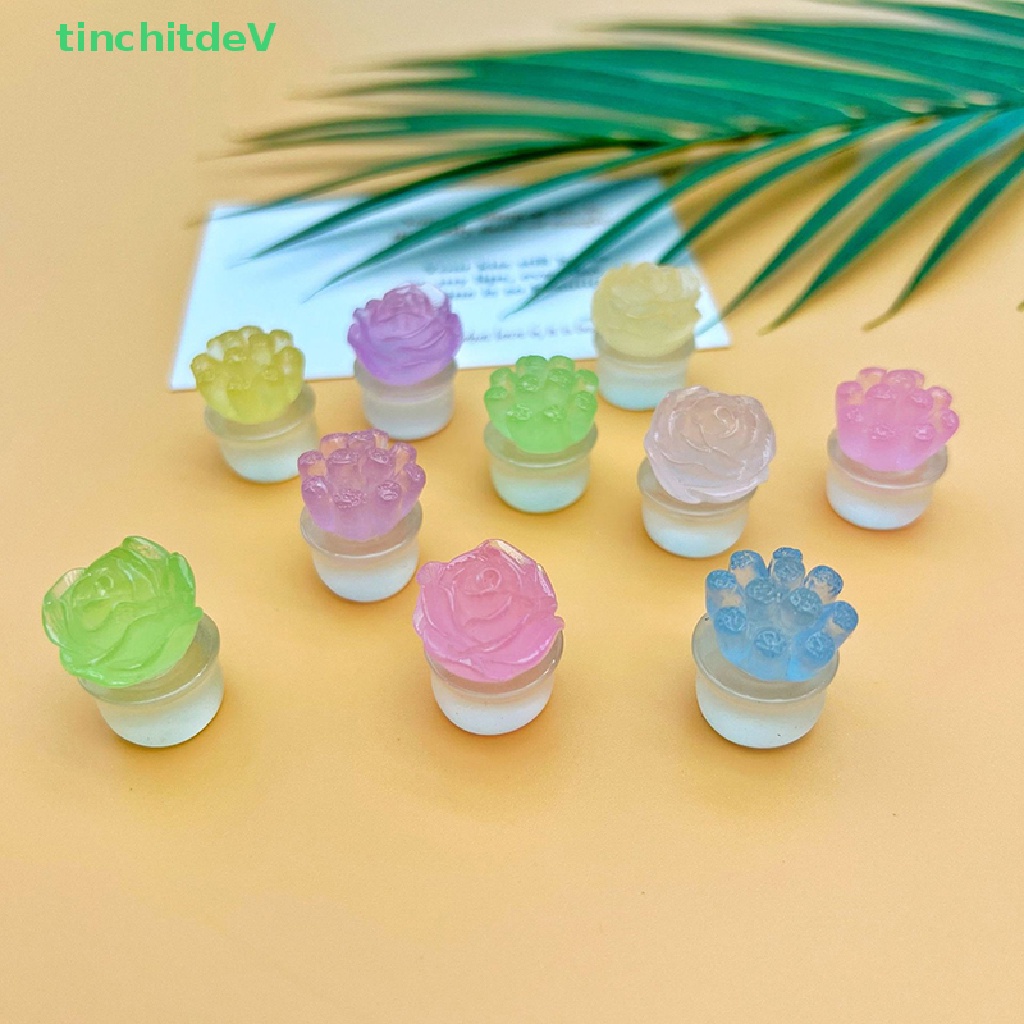 [TinchitdeV] Bộ 2 Chậu Cây Mini Bằng Nhựa Resin Phát Sáng Màu Sắc Ngẫu Nhiên Dùng Trang Trí
