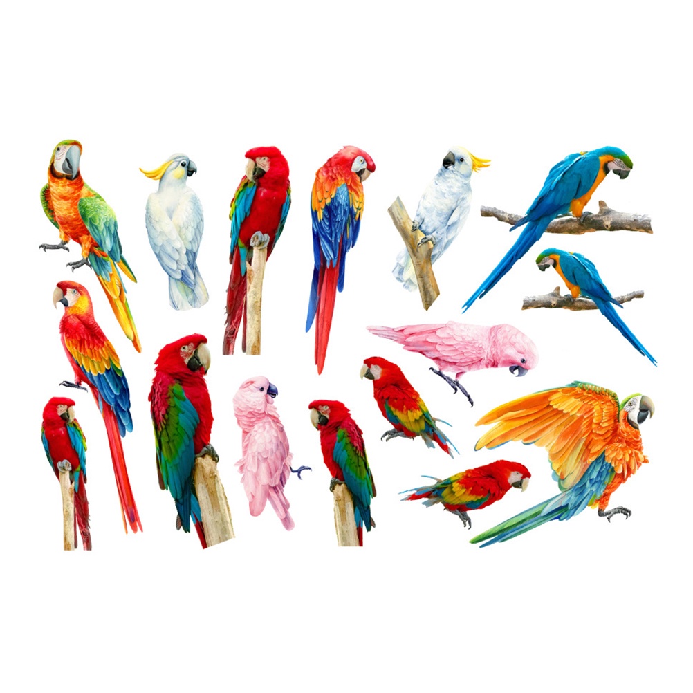 Miếng Dán Tường Hình Vẹt Nhiều Màu Chống Va Chạm