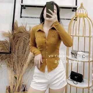 Áo sơ mi thun gân cổ bẻ gài nút tay dài xinh xắn ttsla1058