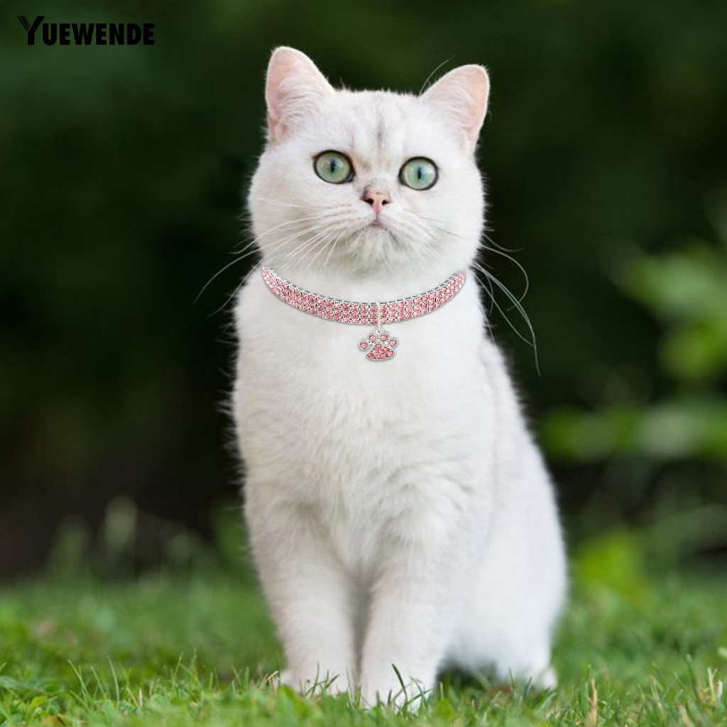 Vòng Cổ Chống Biến Dạng Không Phai Cho Thú Cưng