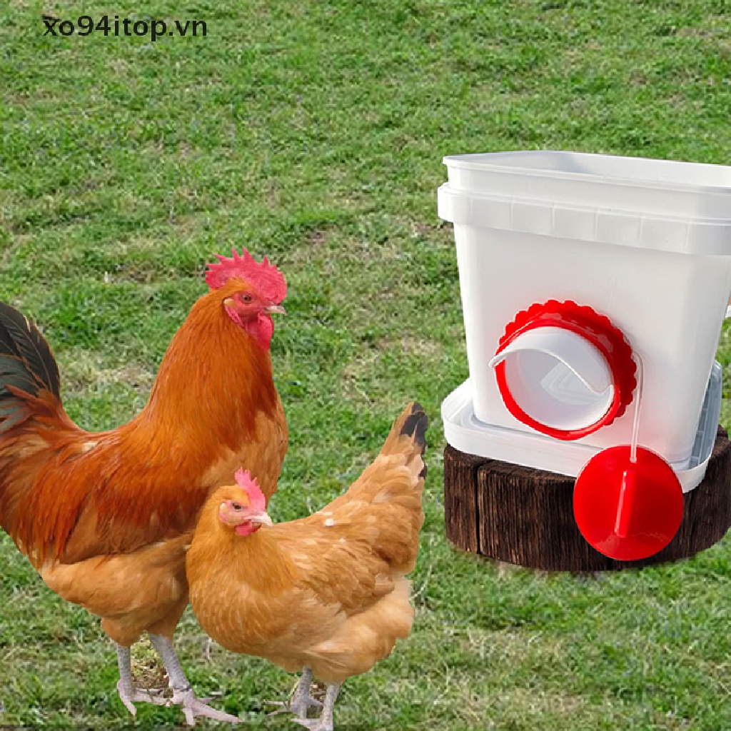 Dụng Cụ Cho Gà Ăn Bằng Nhựa Tiện Dụng
