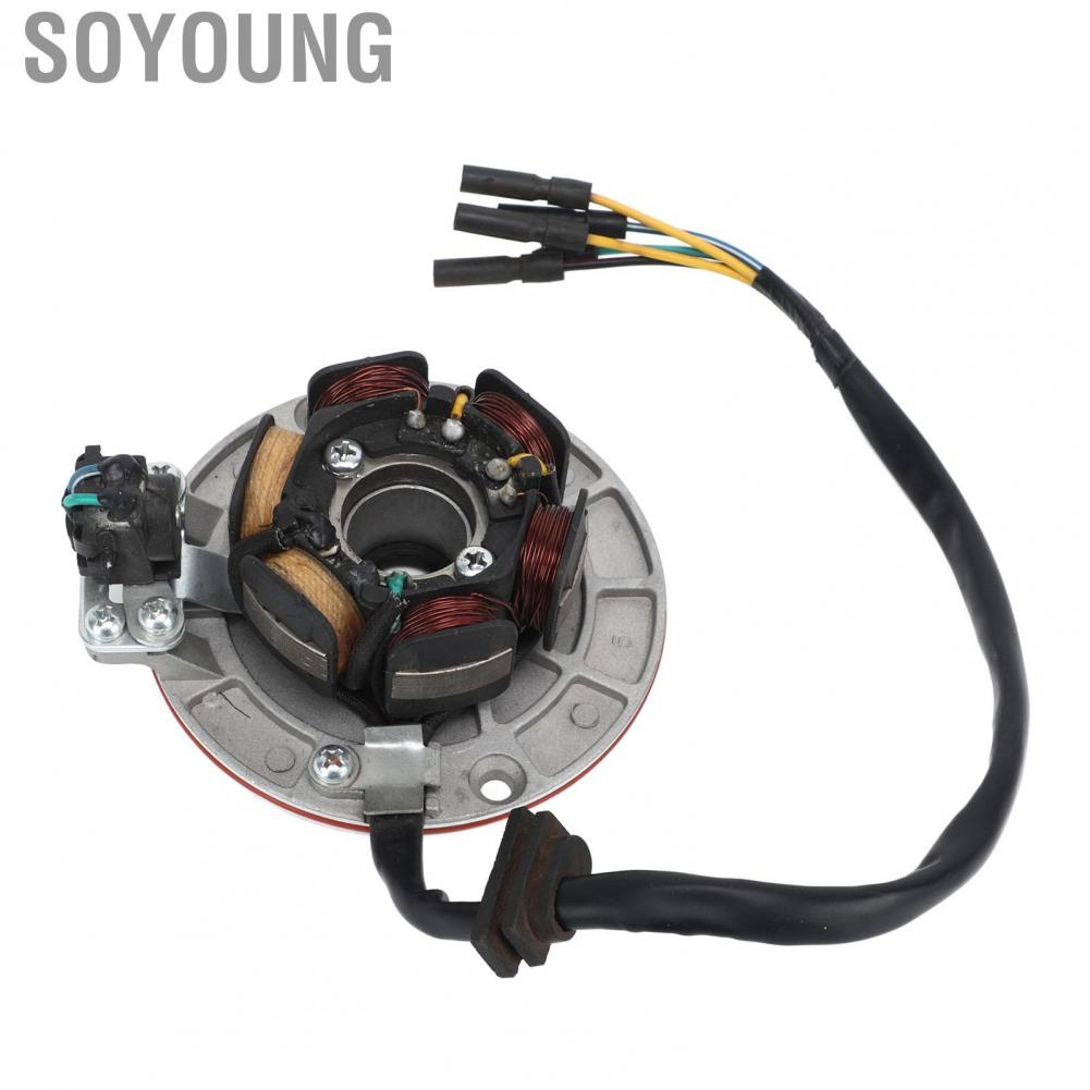 Soyoung Magneto Stator Coil  5 Wire Powerful for 150cc 160cc Kick Start Engine