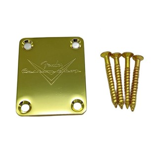 FENDER Tấm Nối Dài Cần Đàn guitar & Thân Đàn guitar