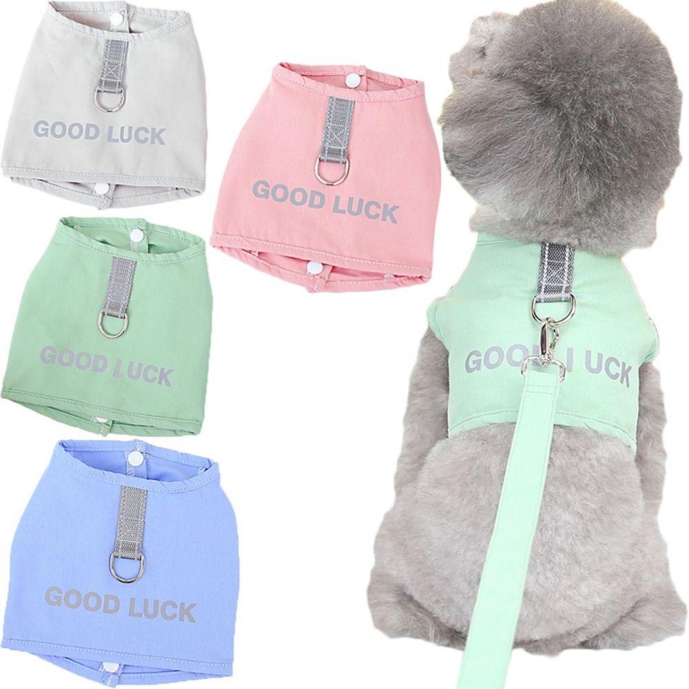 Dây Dắt Thú Cưng Đi Dạo Mềm Mại Có Thể Điều Chỉnh Kích Thước BERNARDO