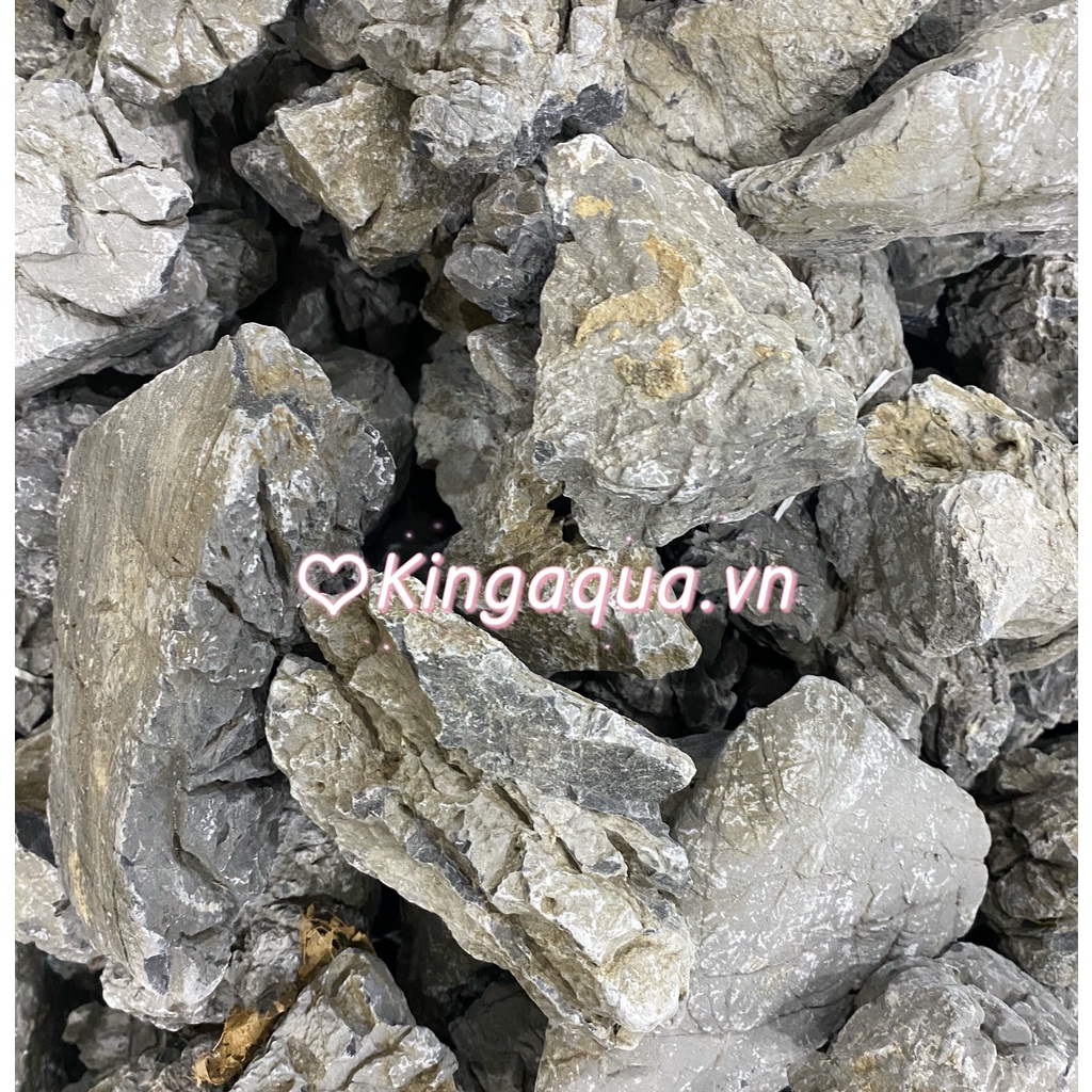Đá thủy sinh - Đá da voi (1kg)