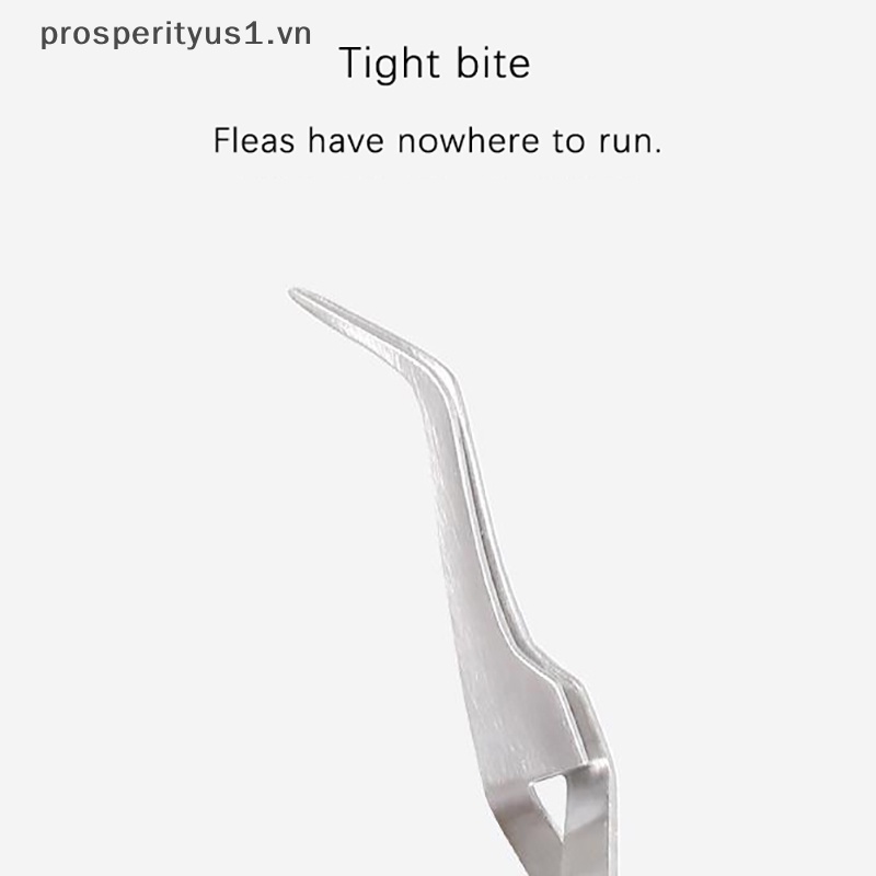Nhíp Nhổ Lông Mèo Chuyên Nghiệp Bằng Thép Không Gỉ 2 Trong 1