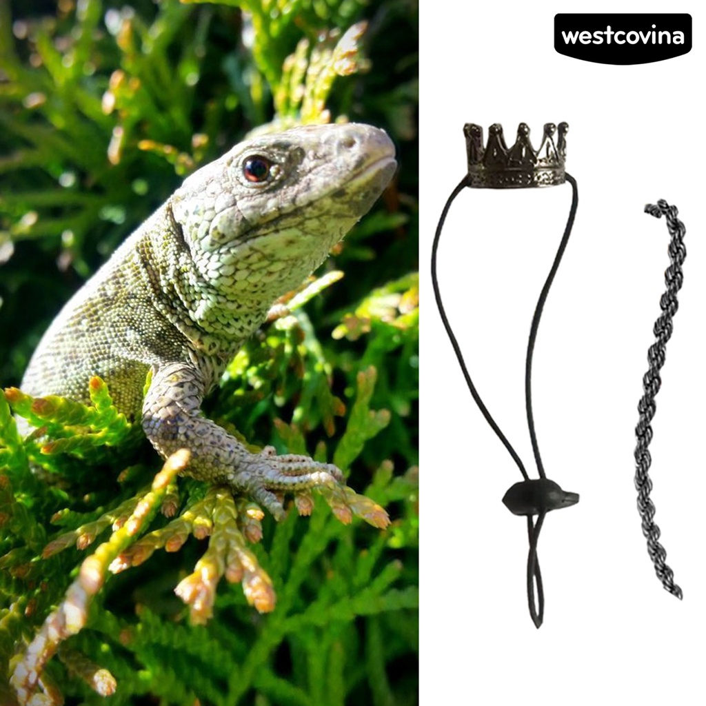 [COD]♞1 Set Tượng Thằn Lằn Mini Bằng Hợp Kim Dễ Thương Thoải Mái Có Khóa Điều Chỉnh Được