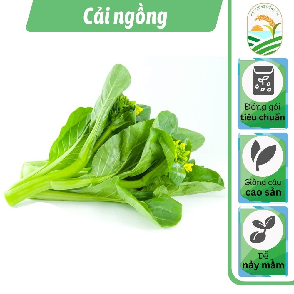 Hạt giống cải ngồng HN19 - gói 20 gam