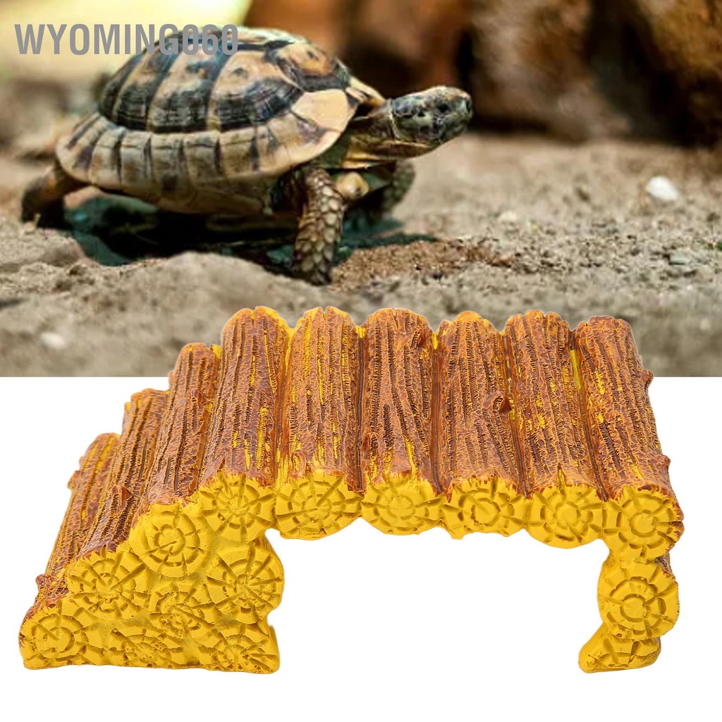 Wyoming060 Rùa Basking Nền Tảng Nhựa Cảnh Quan Mô Phỏng Leo Thằn Lằn Ếch Rắn