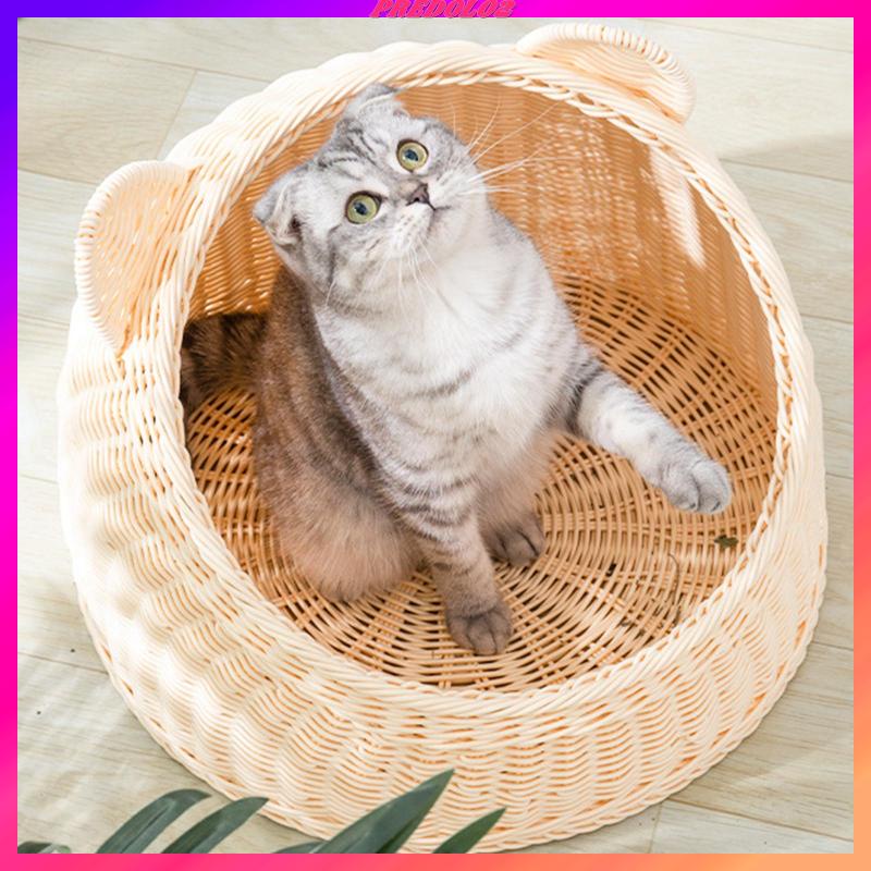 Giường Ngủ Trong Nhà Dành Cho Mèo Cưng