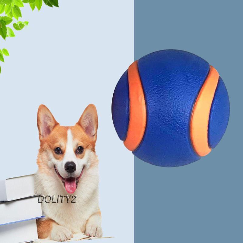 Đồ Chơi Bóng Gặm Tương Tác Cỡ Nhỏ Cho Thú Cưng