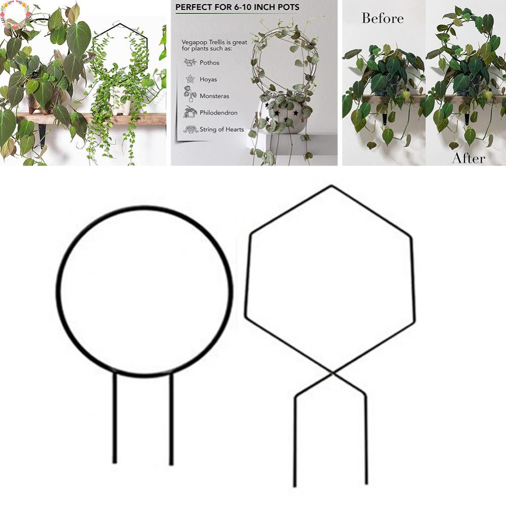 Khung Hỗ Trợ Trồng Cây Dây Leo Tiện Lợi