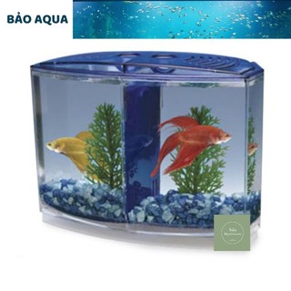 Bể cá beta mini - hồ cá mini để bàn bằng nhựa cao cấp 2 ngăn