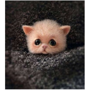 Ghim Cài Áo Hình Mèo / Cáo / Cáo Bằng Len Làm Thủ Công DIY Sáng Tạo