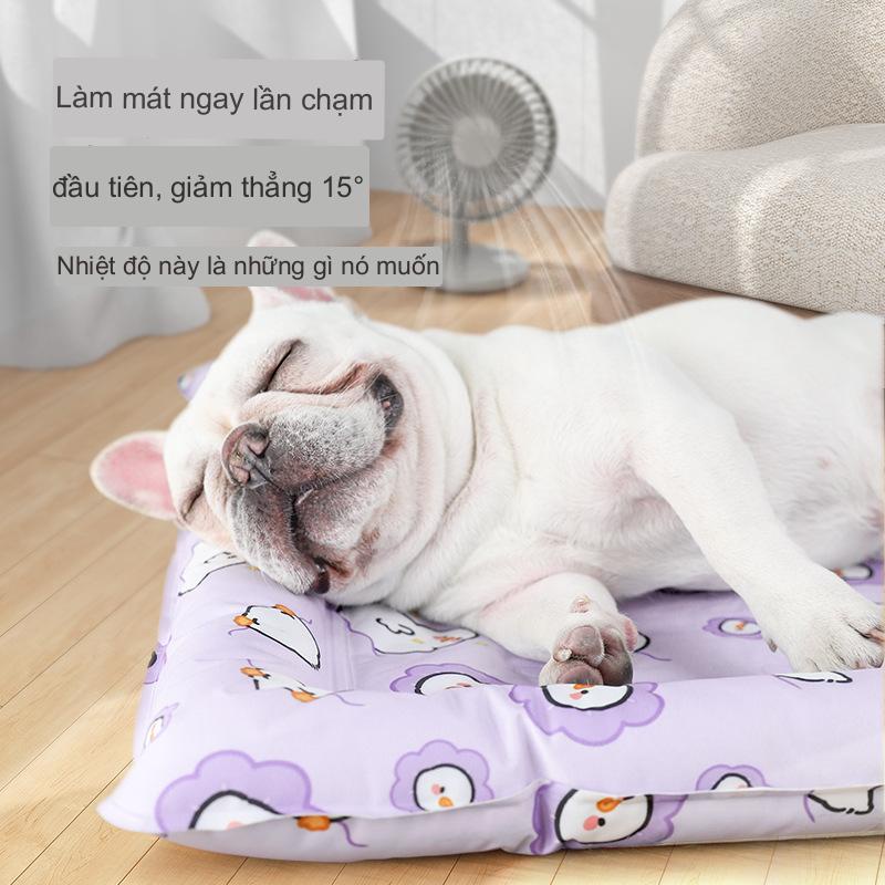 Thảm băng cho thú cưng mùa hè mới vòng nest ipl gel mềm băng mèo nệm làm mát thảm mùa hè thảm cho chó thảm cho thú cưng thảm cho mèo
