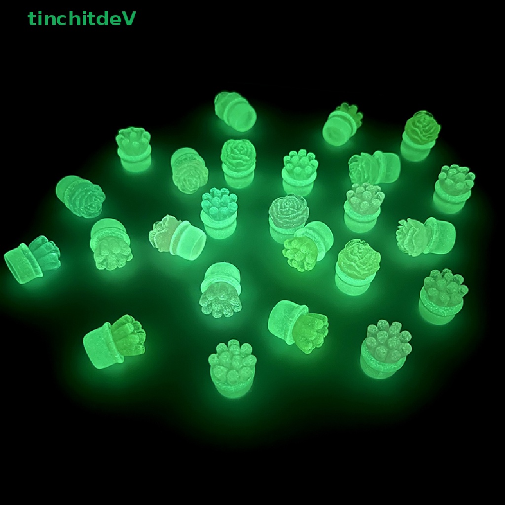 [TinchitdeV] Bộ 2 Chậu Cây Mini Bằng Nhựa Resin Phát Sáng Màu Sắc Ngẫu Nhiên Dùng Trang Trí