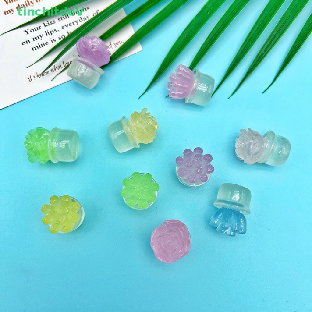 [TinchitdeV] Bộ 2 Chậu Cây Mini Bằng Nhựa Resin Phát Sáng Màu Sắc Ngẫu Nhiên Dùng Trang Trí