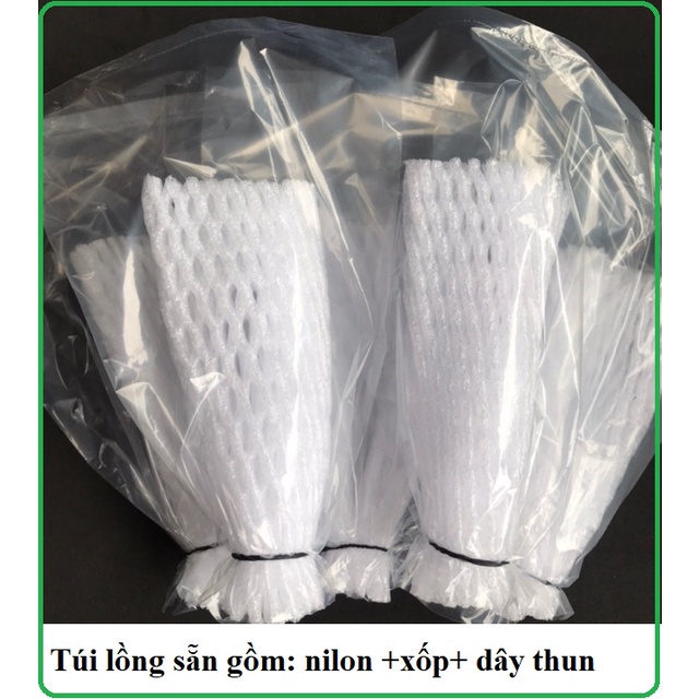 Set 50 túi bọc xốp ổi lồng sẵn (gồm 3 chi tiết nilon +xốp+chun) tránh ruồi chích quả, thối quả