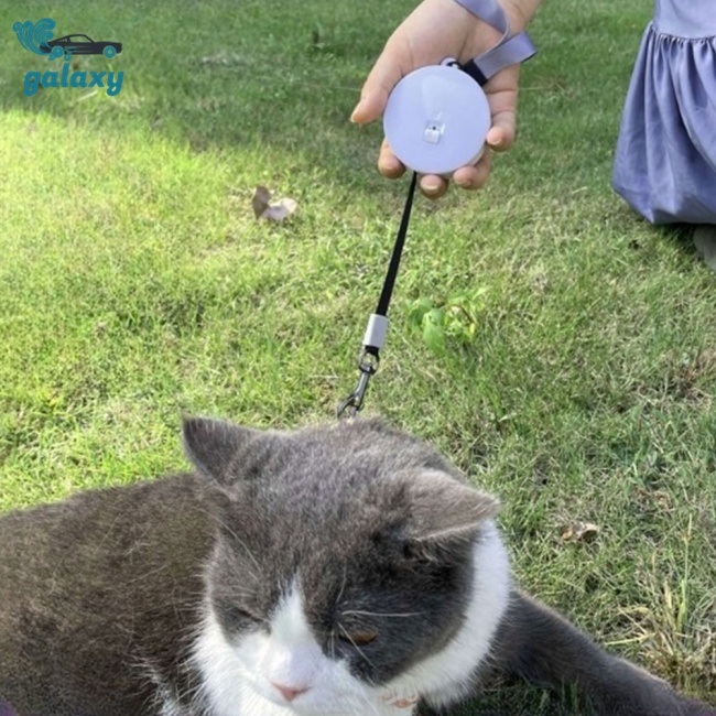 Dây Dắt Thú Cưng Đi Dạo Có Thể Thu Gọn galaxy 3 / 2M (Nâng Cấp 2-Đen)