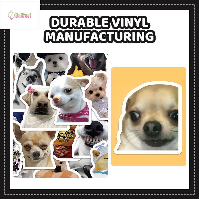 💜Set 60 Sticker Dán Laptop, Điện Thoại, Ván Trượt, Ván Trượt Hình Doge Mèo  Vui Nhộn