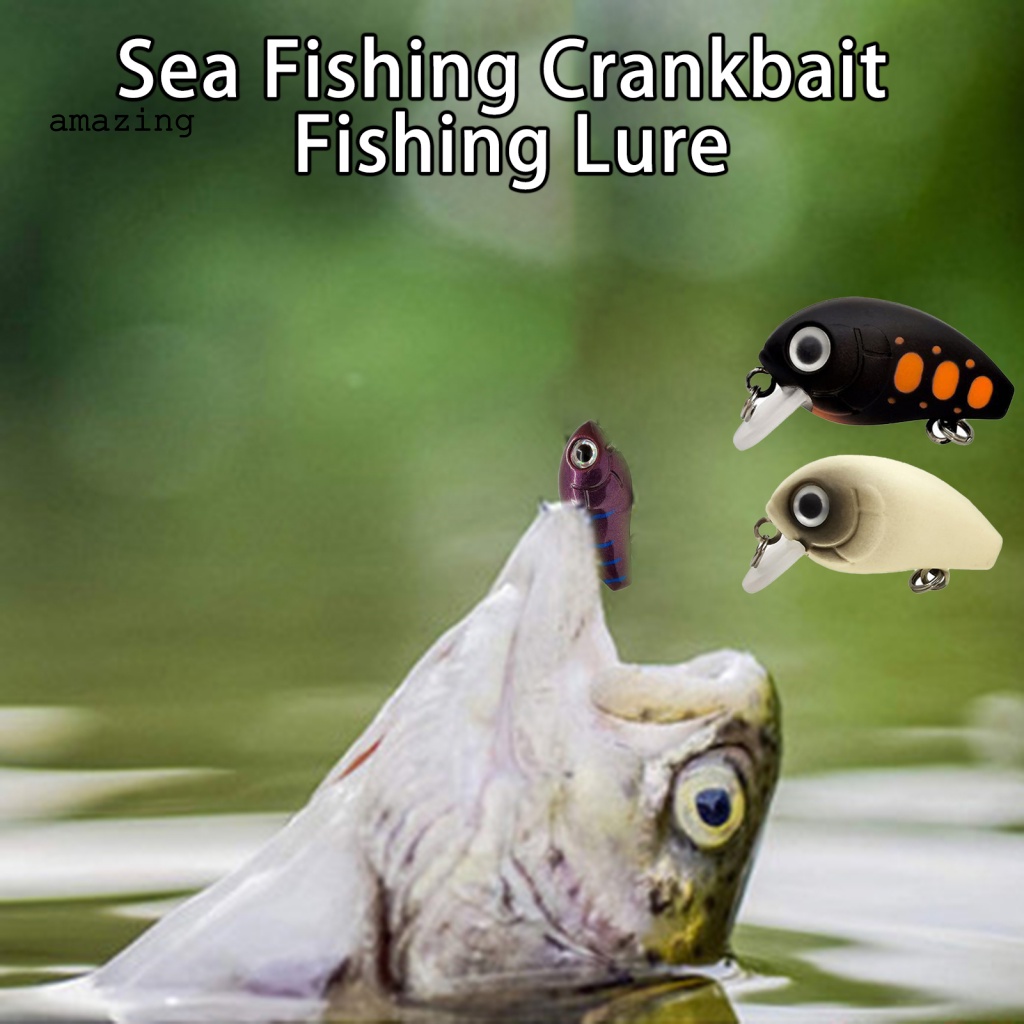 1 Hộp Mồi Giả Câu Cá 3D 3cm / 2.05g