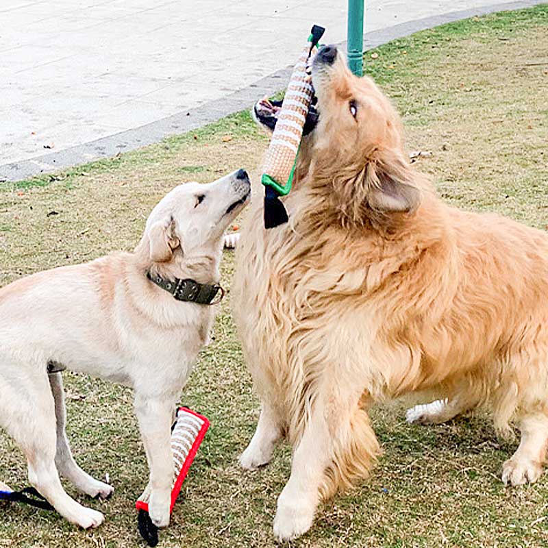 HamshMoc Đồ Chơi Ngậm Cắn Siêu Bền Có Tay Cầm Dành Cho Chó Vừa Và Lớn