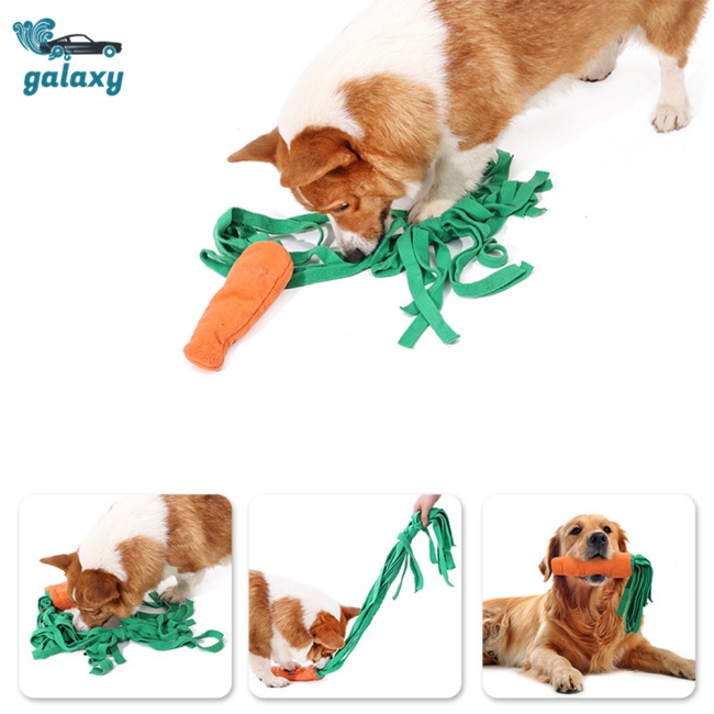 Galaxy Đồ Chơi Cà Rốt 2 Trong 1 Cho Thú Cưng