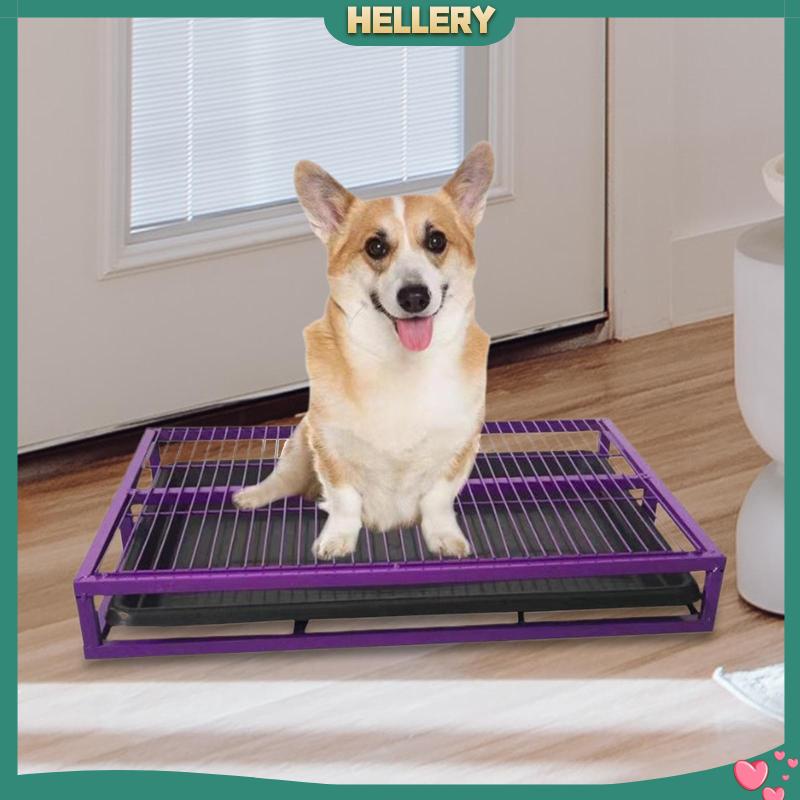 Hộp Đi Vệ Sinh Chống Văng Cho Thú Cưng