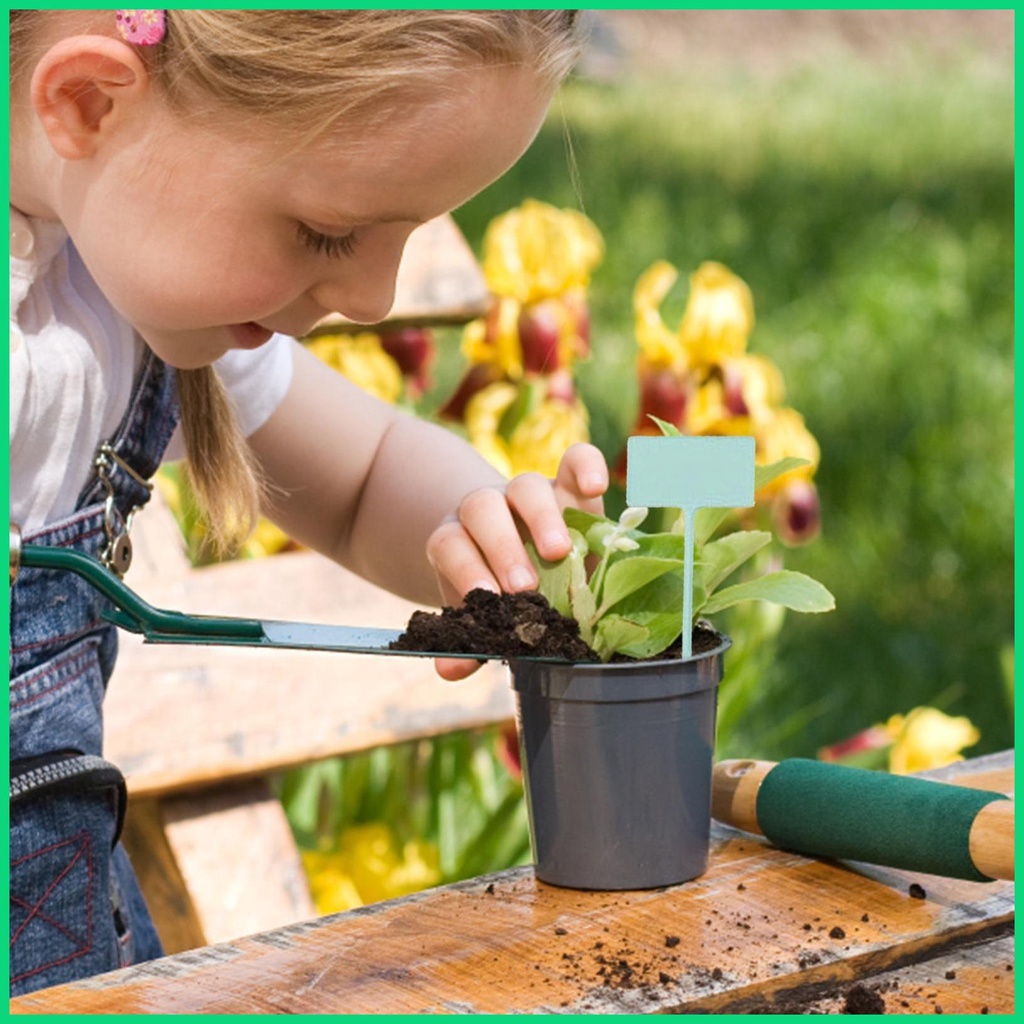 Set 12 Nhãn Chữ T Đánh Dấu Cây Trồng Trong Nhà Kính