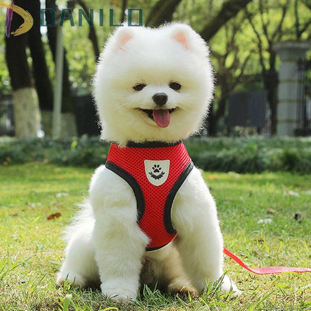 Dây Dắt Thú Cưng Đi Dạo Bằng Nilon Thoáng Khí Chống Thoáng Khí DANILO 2023