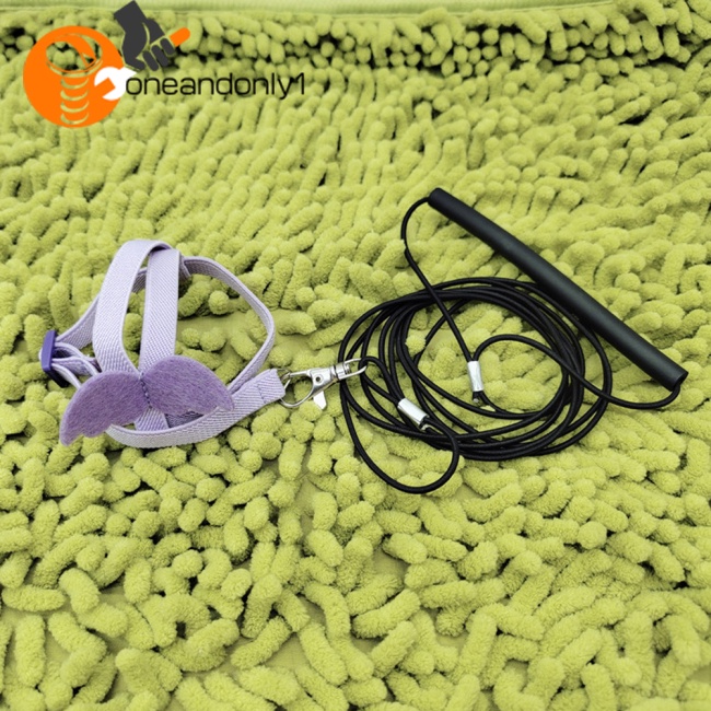 Dây Đai Dắt Chim Vẹt Đi Dạo Siêu Nhẹ Tùy Chỉnh Kèm Tay Cầm Thoải Mái Tiện Dụng