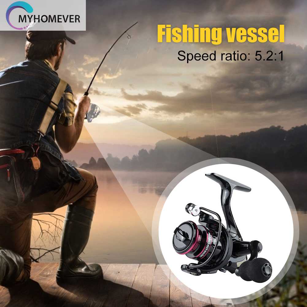 Máy Câu Cá Mini 5.2 1 5KG Độ Nhạy Cao