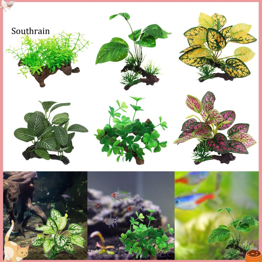 Cỏ NhựA NhiềU KiểU DáNg An ToàN Trang Trí Bể Cá