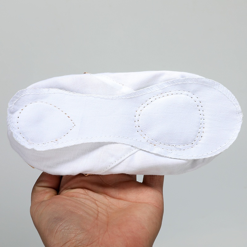 Giày Múa Ba Lê Chuyên Nghiệp Bằng Vải Canvas 5 Màu Tùy Chọn Cho Bé Gái