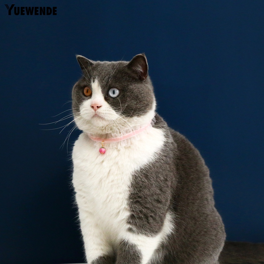 Vòng Cổ Đính Ngọc Trai Nhân Tạo Thời Trang Dành Cho Thú Cưng