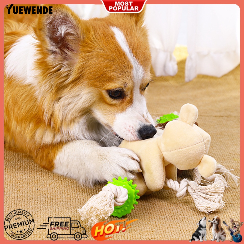 Đồ Chơi Nhồi Bông Hình Con Lười Hoạt Hình Cho Thú Cưng