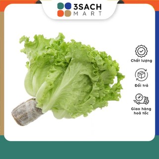Xà lách lolo xanh thủy canh - 250g/khay
